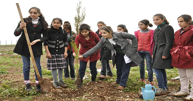 “Severek Daha Yeşil Bir Siverek” Ağaç Kampanyası