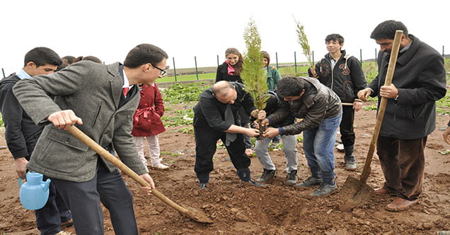 severek-daha-yesil-bir-siverek-agac-kampanyasi (3)