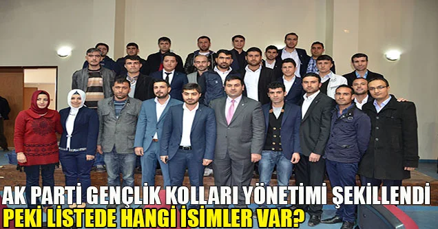 AK Parti Siverek Gençlik Kolları Yönetimi Şekillendi