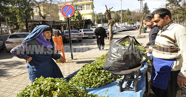 baharin-mujdecisi-bitkiler-pazara-indi (2)