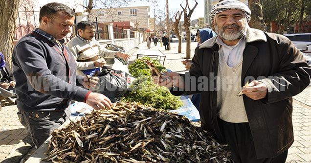 baharin-mujdecisi-bitkiler-pazara-indi (3)