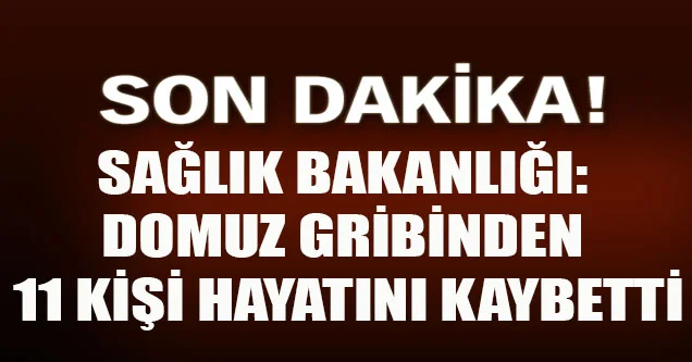 Sağlık Bakanlığı: Domuz Gribinden 11 Kişi Hayatını Kaybetti