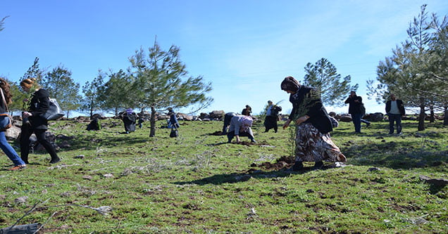 siverekte-8-mart-dunya-kadinlar-gunu-etkinlikleri (4)