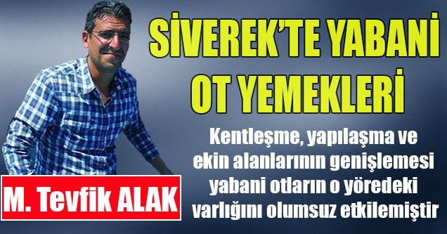 Siverek’te Yabani Ot Yemekleri