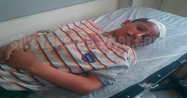 ari-saldirisi-3-cocuk-yarali-3-esek-telef (1)