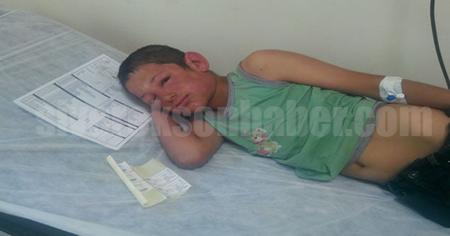 ari-saldirisi-3-cocuk-yarali-3-esek-telef (2)