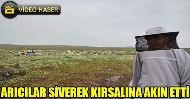 Arıcılar, Siverek Kırsalına Akın Etti