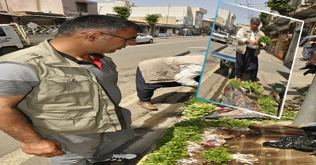 Evlerinin Bahçelerinde Yetiştirdikleri Fideleri Satıyorlar