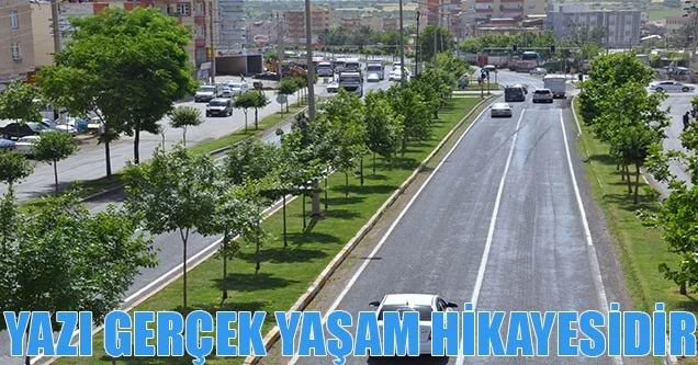 Konuşturan ve Yazdıran Fotoğraflar – Ölüm Doğaldır