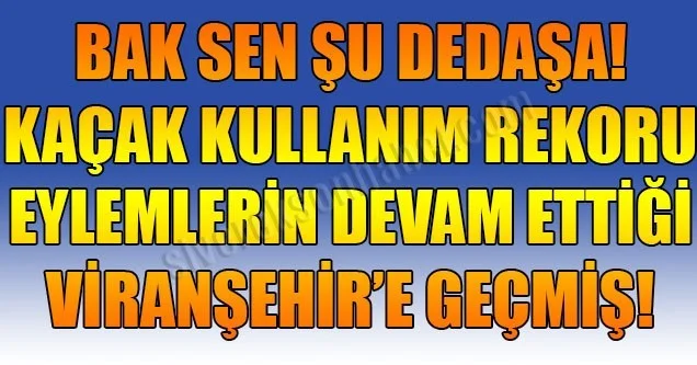 Bak sen şu DEDAŞ’A!