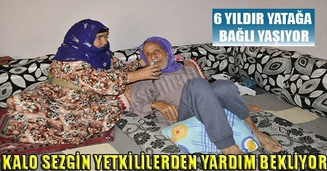 Kalo Sezgin Yardım Bekliyor
