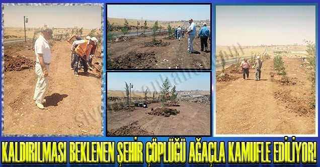 Siverek şehir çöplüğü kamufle ediliyor!