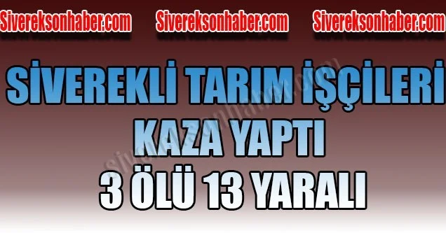 Siverekli tarım işçileri kaza yaptı: 3 ölü 13 yaralı