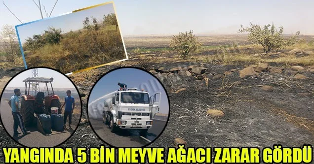 Siverek’te Yangın