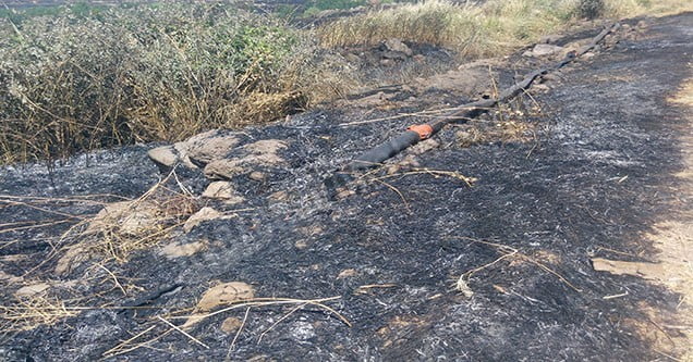 siverekte-yangin-2 (3)