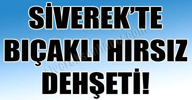 Siverek’te bıçaklı hırsız dehşeti!