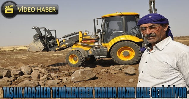 Siverek’te taşlık araziler temizleniyor