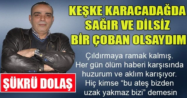 Keşke Karacadağda Sağır Ve Dilsiz Bir Çoban Olsaydım