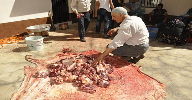 kurbanlar-kesilmeye-baslandi (2)