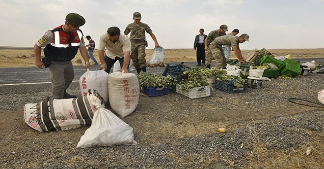 siverek-feribot-yolunda (3)