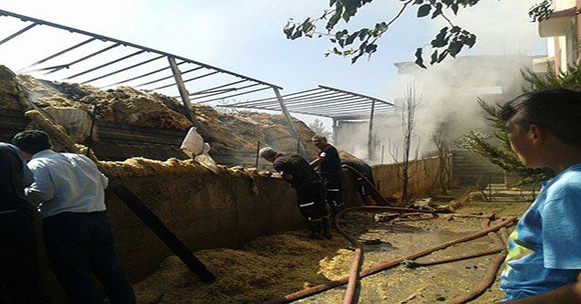 siverekte-50-ton-saman-yandi (2)