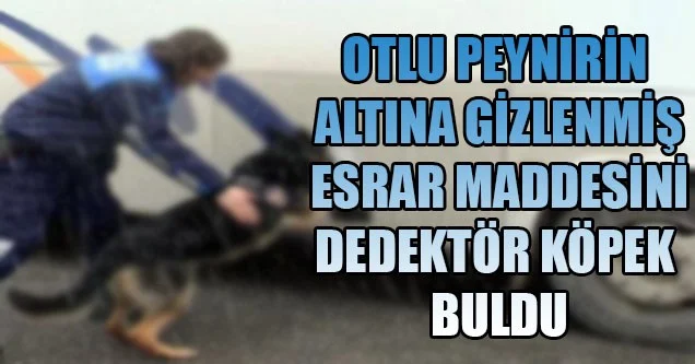 Yolcu otobüsünde esrar bulundu
