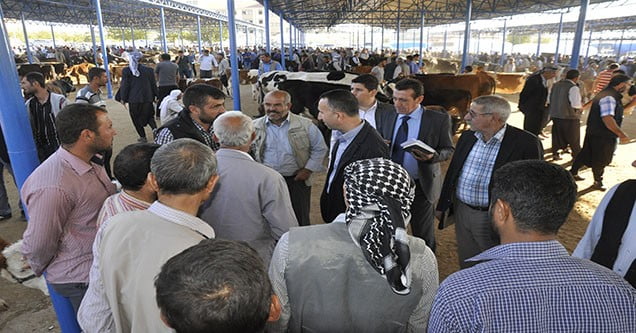 belediye-baskani-yilmaz-hayvan-pazari-esnafini-ziyaret-etti (2)