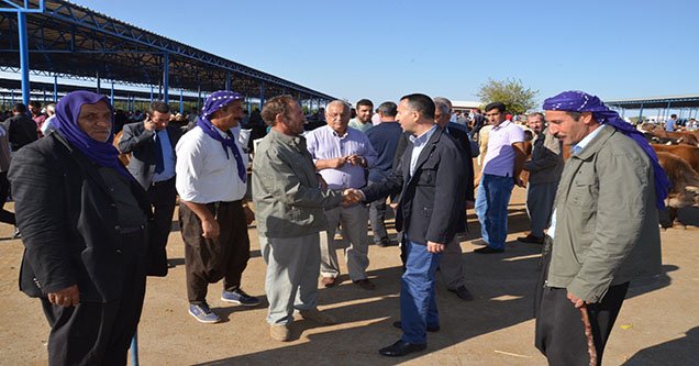 belediye-baskani-yilmaz-hayvan-pazari-esnafini-ziyaret-etti (4)