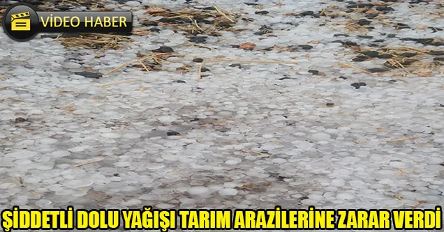 Dolu yağışı tarım arazilerine zarar verdi