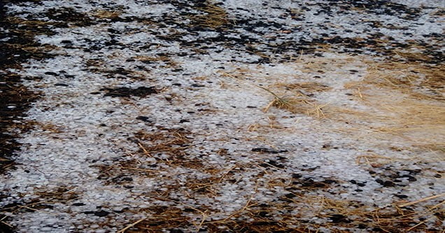 dolu-yagisi-tarim-arazilerine-zarar-verdi (3)