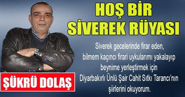Hoş Bir Siverek Rüyası