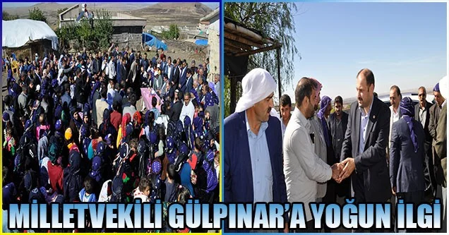 Milletvekili Gülpınar’a yoğun ilgi