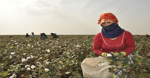 pamuk-hasadi-issizlerin-umudu-oldu (2)