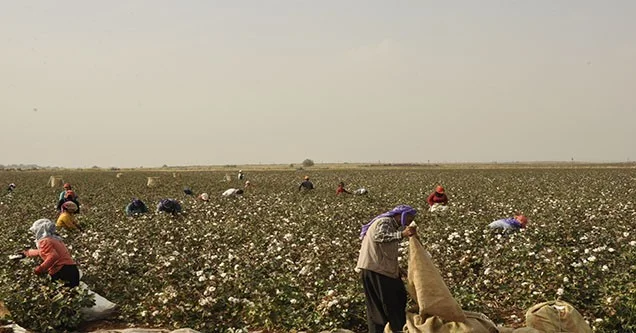 Türkiye’de işsiz sayısı 85 bin kişi artarak 3 milyon 214 bin kişi oldu