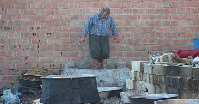 siverek-bag-bozumu-sezonu-basladi (6)