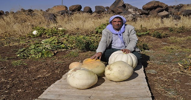 Siverek’te alternatif tarım bilinci gelişiyor