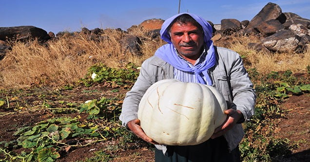 siverekte-alternatif-tarim-bilinci-gelisiyor (2)