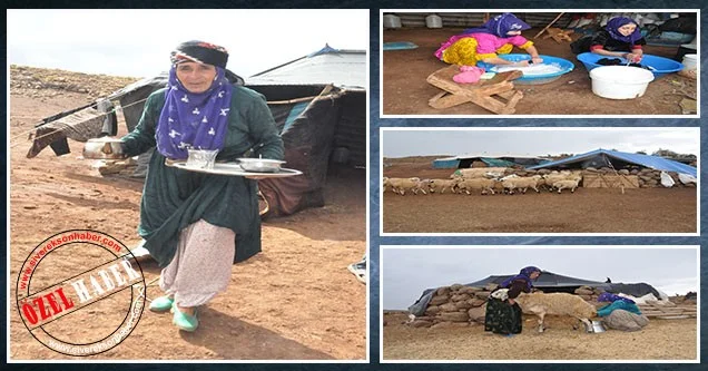 Göçerler yerleşik yaşama geçmek istiyor