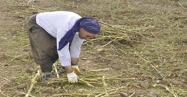 karacadag-koylulerin-kis-hazirligi (2)