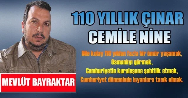 110 Yıllık Çınar Cemile Nine