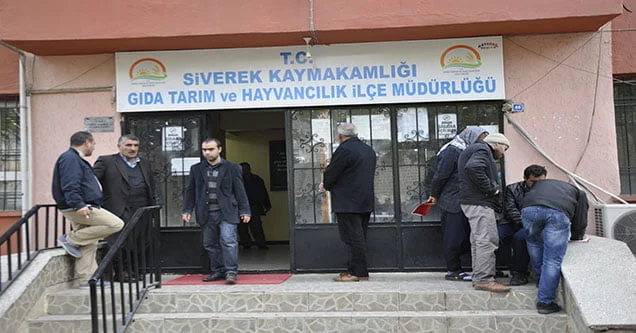 Siverek’te Şap Hastalığına Karşı Hayvanlar Aşılandı
