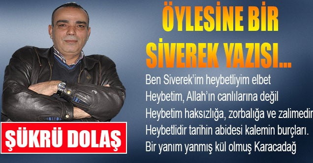 Öylesine Bir Siverek Yazısı…