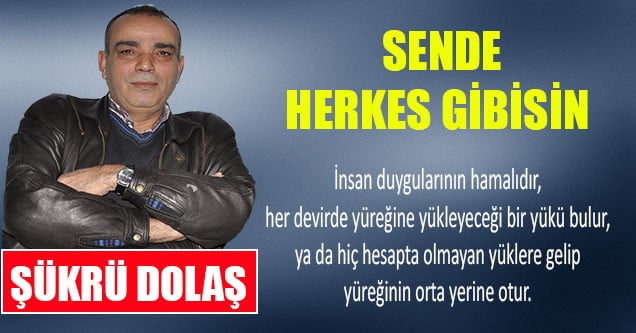 Sende Herkes Gibisin