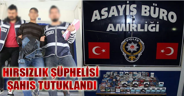 Siverek’te Hırsızlık Şüphelisi Şahıs Tutuklandı
