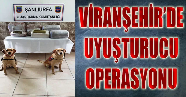Viranşehir’de Uyuşturucu Operasyonu