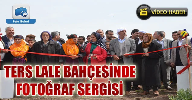 Ters Lale Tarlasında Fotoğraf Sergisi