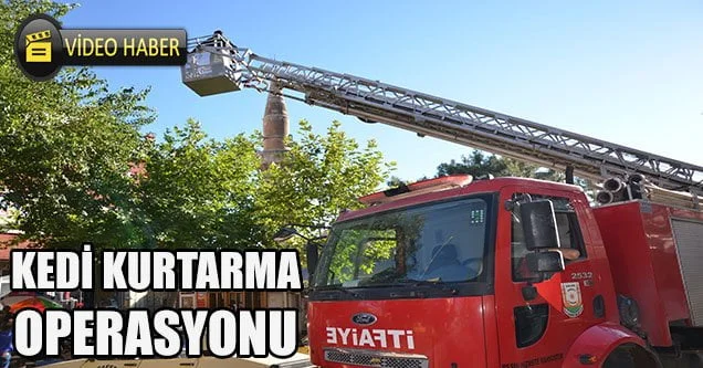 Siverek’te Kedi Kurtarma Operasyonu