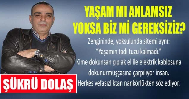 Yaşam Mı Anlamsız Yoksa Biz Mi Gereksiziz?
