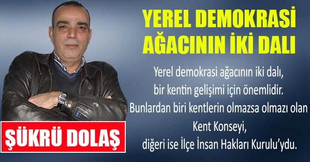 Yerel Demokrasi Ağacının İki Dalı