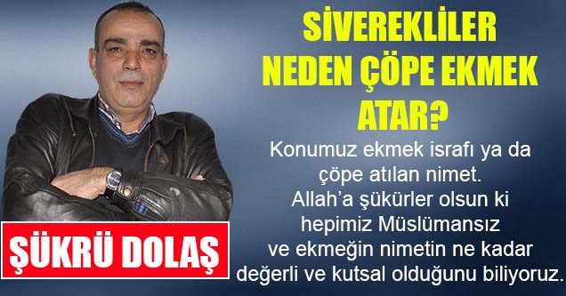 Siverekliler neden çöpe ekmek atar?